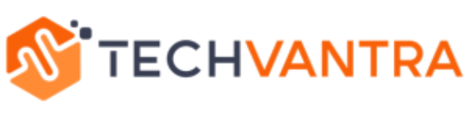TechVantra Systems